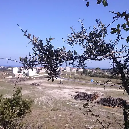 ゲストハウス Lara Konuk Evi