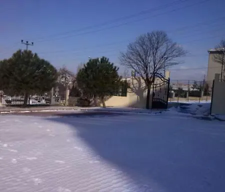 ゲストハウス Lara Konuk Evi 3*