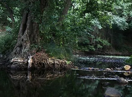 Affittacamere Lara Konuk Evi Vize