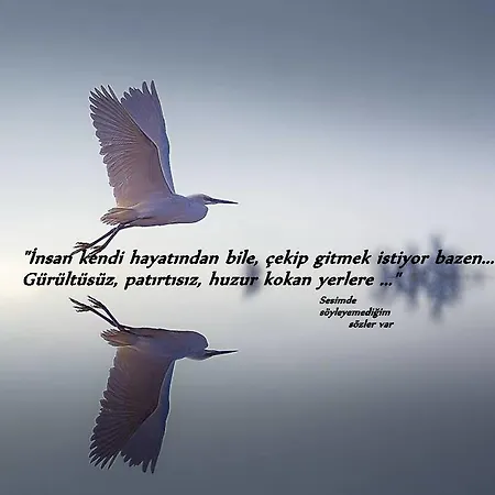 Lara Konuk Evi Affittacamere