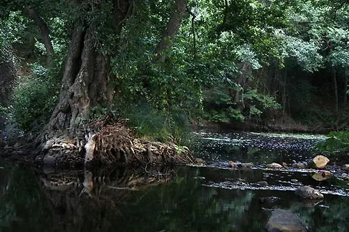Maison d'hôtes Lara Konuk Evi Vize