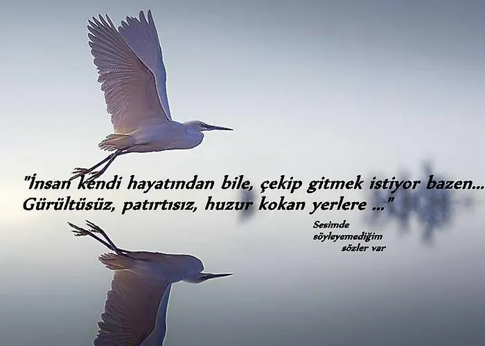 Lara Konuk Evi Maison d'hôtes