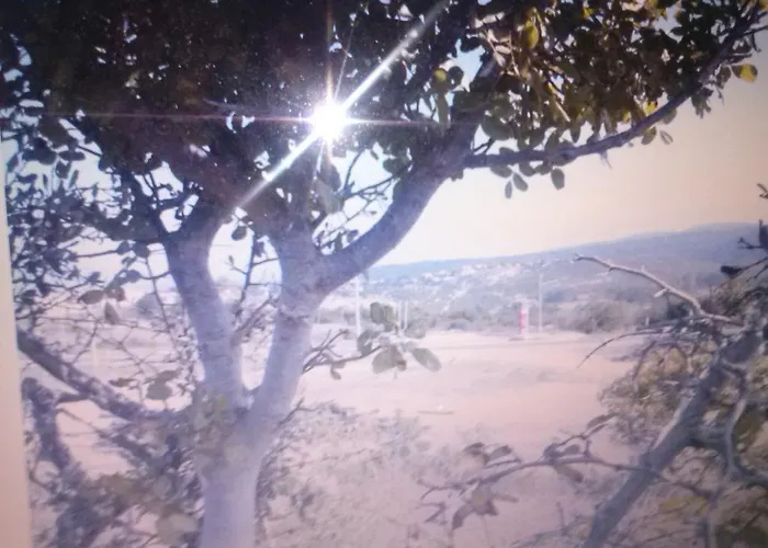 Maison d'hôtes Lara Konuk Evi