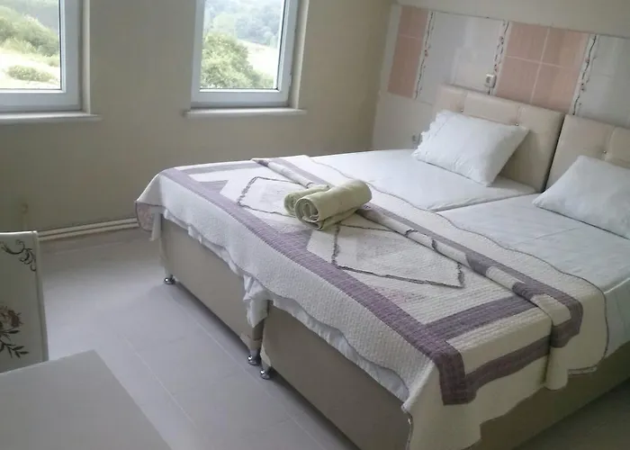 Maison d'hôtes Lara Konuk Evi Vize